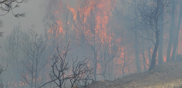 Çan'daki orman yangını kontrol altında