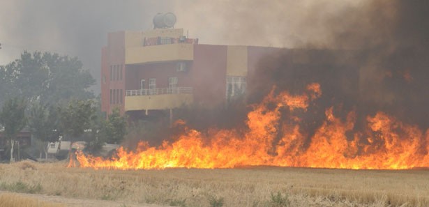 Anız yangınları tehlike saçıyor