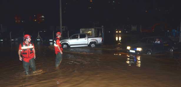 Malkara'da yağmur ağaçları devirdi