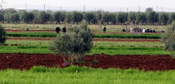 Yaralı Suriyeli kadın kurtarılamadı